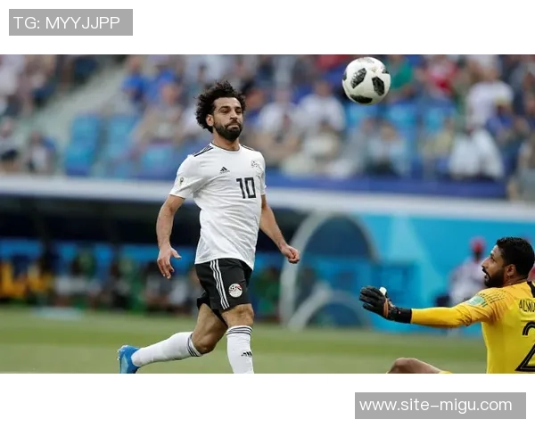 2014年世界杯小组赛葡萄牙对阵埃及精彩回顾与赛后分析 2014年世界杯小组赛葡萄牙对阵埃及精彩回顾与赛后分析