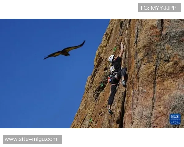 广州攀岩队与武汉攀岩队赛后战术分析与总结探讨